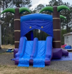 Island Breeze Combo (Dry Slide)